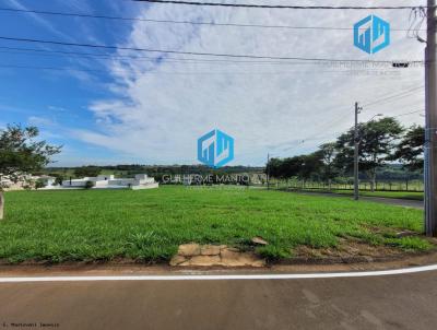 imagem-miniatura