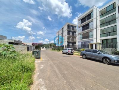 Lote para Venda, em Jaguari�na, bairro Loteamento Santo Antonio